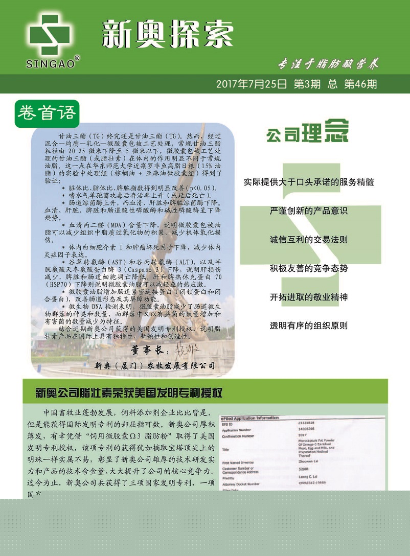 新澳门一肖一码中恃请全面2释义、解释与落实、构建解答解释落实
